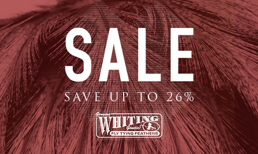 Whiting Sale